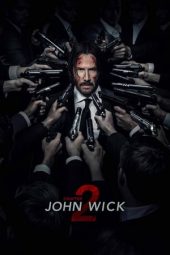 John Wick: Chapter 2 (2017)