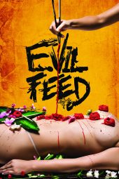 Evil Feed (2013)