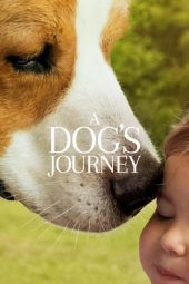 A Dog's Journey (2019)