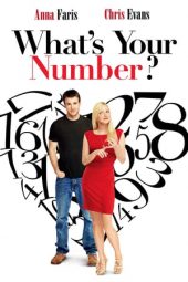 What's Your Number? (2011)