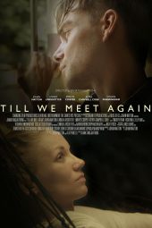 Till We Meet Again (2016)