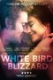 White Bird in a Blizzard (2014)