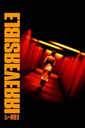 Irreversible (Irréversible) (2002)