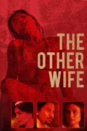 The Other Wife (2021)